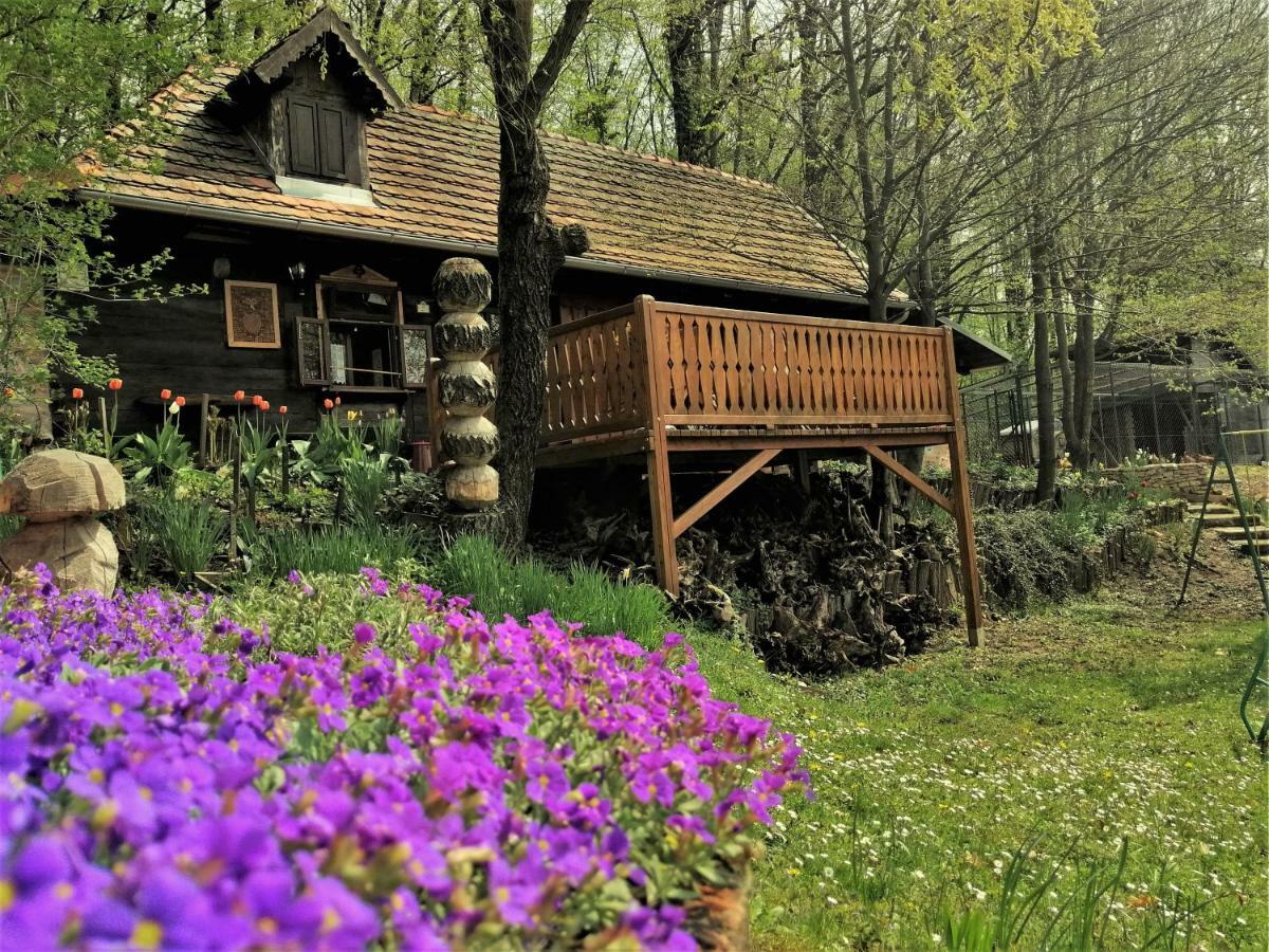 Country House With A Pool In Medvednica Nature Park Záhřeb Exteriér fotografie