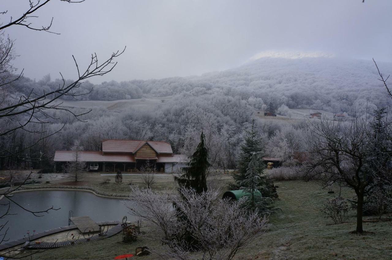 Country House With A Pool In Medvednica Nature Park Záhřeb Exteriér fotografie